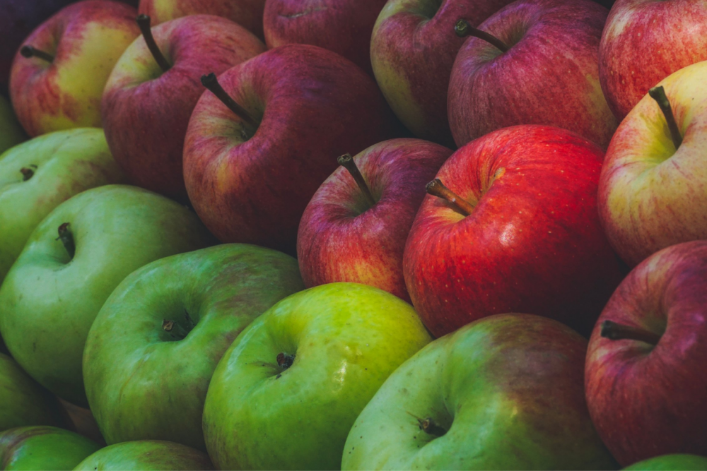 Picture of different apple varieties