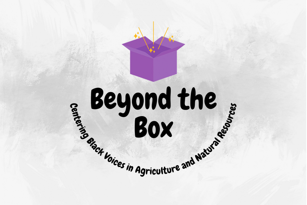 Beyond the Box graphic logo