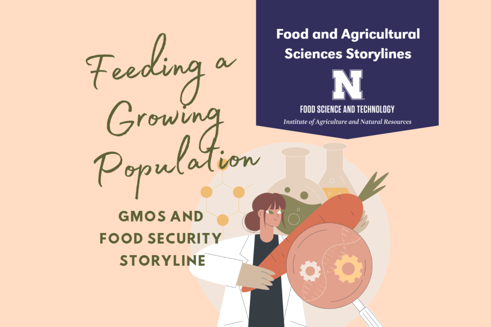 GMO and Food Security storyline graphic