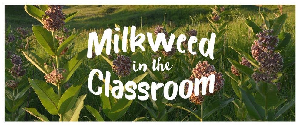 Milkweed in the Classroom logo in front of photo of milkweed plants