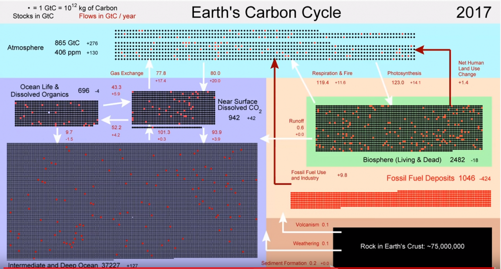 How Have Earth's Carbon Pools Changed Over Time? graph example