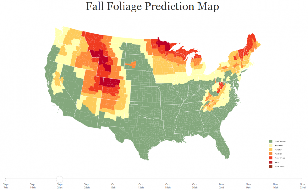 When Will Different States Experience Peak Fall Foliage? graph example
