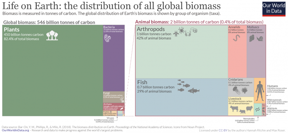 How Is Global Biomass Distributed Across The Globe? graph example
