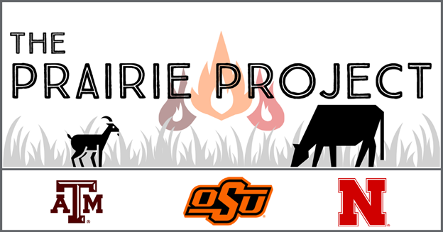 Prairie Project Logo